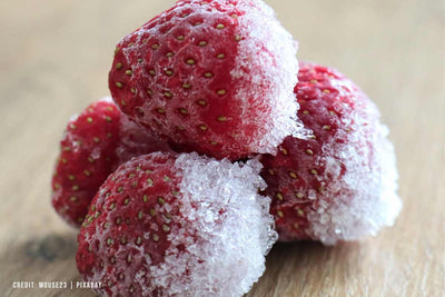 9 Packing Hacks: Maximize Space in Your Portable Fridge Freezer