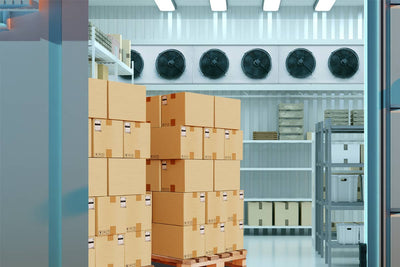 Walk-in vs. Reach-in: Selecting the Ideal Commercial Refrigerator for Your Business